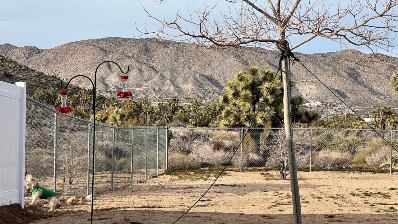 Peaceful Home With Nature Views & Trail Access Yucca Valley Exterior photo