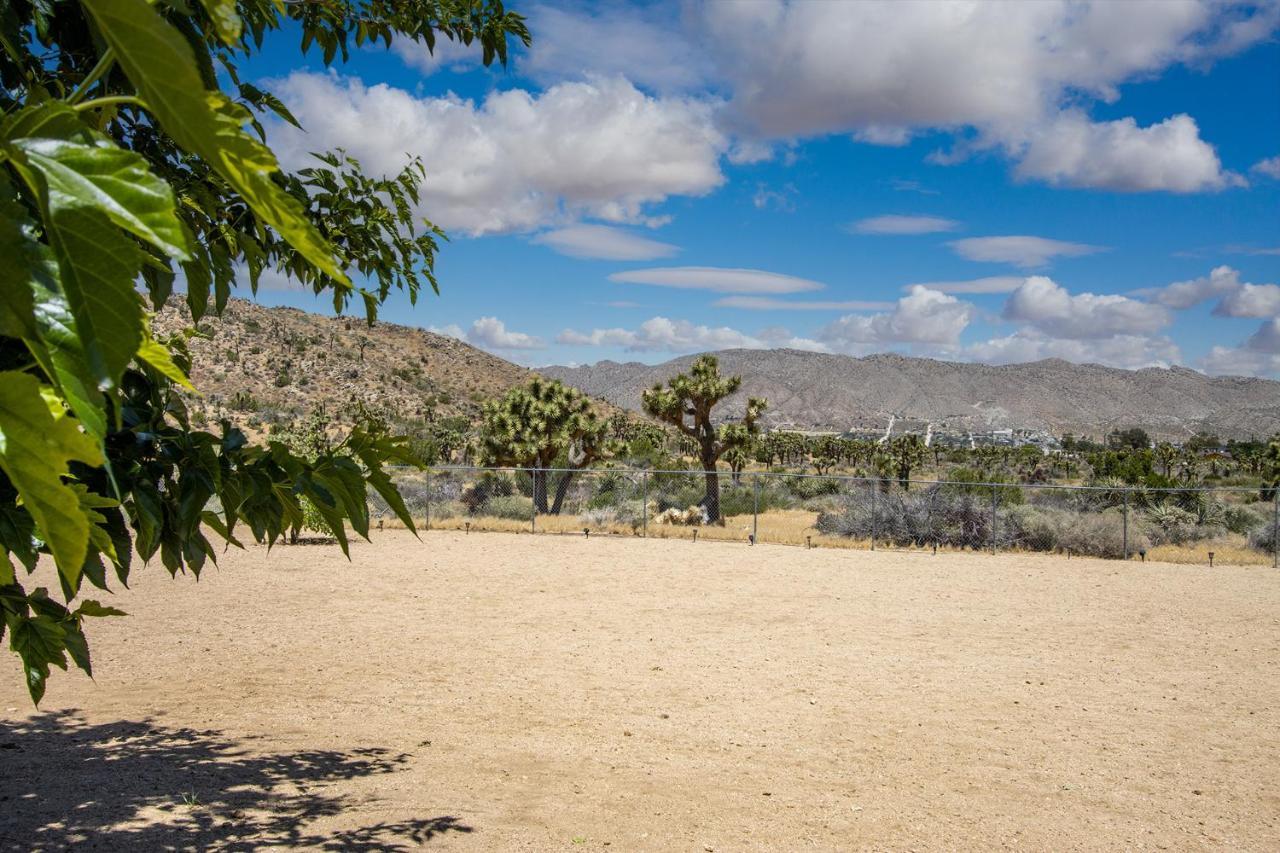 Peaceful Home With Nature Views & Trail Access Yucca Valley Exterior photo